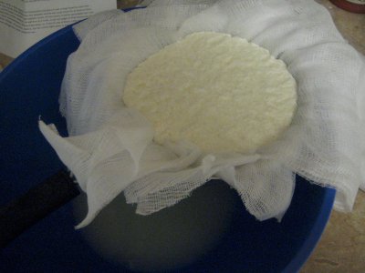 Pour into a cheese cloth lined strainer